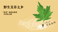 艾草越嫩越好，還是越久越好？悄悄告訴你：艾草這樣用，效果最好！