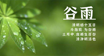 【二十四節(jié)氣灸】谷雨時(shí)節(jié)，用艾為您的健康加上一道保險(xiǎn)！