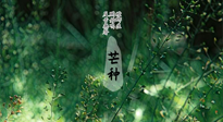【二十四節(jié)氣灸】芒種節(jié)氣，培土補(bǔ)脾、養(yǎng)陰生津！艾灸這些穴位事半功倍！