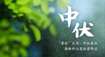 【三伏養(yǎng)生】至熱中伏，吃三樣，喝三樣，三大禁忌千萬(wàn)別犯，小心落下病根！