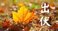 【三伏養(yǎng)生】出伏后做好養(yǎng)生很關(guān)鍵！一行要注意！