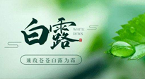 【二十四節(jié)氣灸】白露涼爽，養(yǎng)心肝脾胃、滋陰潤肺是關(guān)鍵！