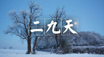 【三九養(yǎng)生】冬二九，扶陽補腎氣，讓你陽氣充足一整年！