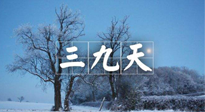 【三九養(yǎng)生】冬三九，三九第三灸，一年中最后艾灸黃金9天！