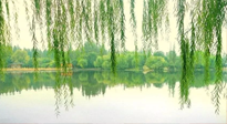 【養(yǎng)生知識】已入五九，六九將至，五九的養(yǎng)生秘訣，你知道嗎？