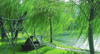 【養(yǎng)生知識(shí)】元宵入六九，春季已至，六九天的養(yǎng)生知識(shí)你知道多少？