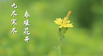 【九九養(yǎng)生】三月四日“九九日”，寒冬已過。春天養(yǎng)好身，全年不怕?。? />
                    </a>
                </div>
            </li>
            
            <li id=