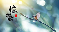 【二十四節(jié)氣灸】驚蟄節(jié)氣，艾灸喚醒抵抗力、補(bǔ)充陽(yáng)氣的最好時(shí)機(jī)！