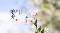 【二十四節(jié)氣灸】春分，平分了大地晝夜；艾灸，平衡了身體陰陽(yáng)！