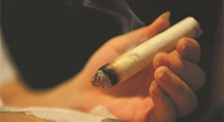 【艾灸知識(shí)】春暖花開，衣衫漸薄，再不減肥，身上的肉肉可藏不住了！