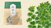 【行業(yè)資訊】國內(nèi)首部艾草專著《南陽艾》，在南陽新書首發(fā)！