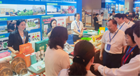 【行業(yè)資訊】南陽攜超千款名優(yōu)產(chǎn)品在廣州開展產(chǎn)銷對(duì)接，仙草艾首次亮相大灣區(qū)！