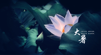 【二十四節(jié)氣灸】趁大暑好好艾灸，才不辜負三伏天的驕陽！