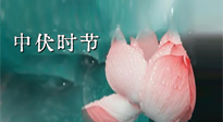 【艾灸三伏天】中伏：三伏灸的關鍵轉(zhuǎn)折點！“灸”除病根的大好時機！