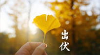 【艾灸三伏天】出伏啦！三防三宜兩穴位，防止身體“秋后算賬”！