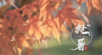 【二十四節(jié)氣灸】處暑，冬病夏治倒計(jì)時(shí)！秋涼真的要來(lái)了！