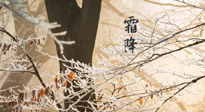 【二十四節(jié)氣灸】霜降節(jié)氣：艾灸四穴，護(hù)您冬天安然無恙！