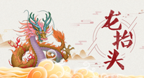 【龍?zhí)ь^】二月二，龍?zhí)ь^，健康養(yǎng)身，為身體打好基礎(chǔ)！