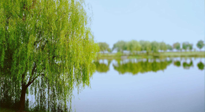【艾灸知識】春三月，必艾灸穴位：疏肝理氣，養(yǎng)血調(diào)神！