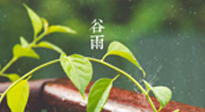 【二十四節(jié)氣灸】谷雨節(jié)氣脾土濕，艾灸降濕濁，脾旺不受邪！