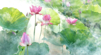 【養(yǎng)生知識(shí)】花開半夏，夏至養(yǎng)生，這些知識(shí)一定要牢記！