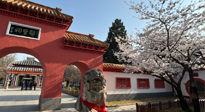 【行業(yè)資訊】新華財經(jīng)：守正創(chuàng)新，中醫(yī)藥品牌化發(fā)展“更上一層樓”！