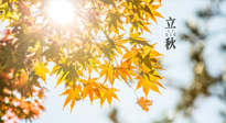 【節(jié)氣飲食】立秋將至，吃最合適的飲食，平穩(wěn)度過季節(jié)交替！