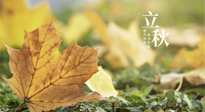 【節(jié)氣養(yǎng)生】甲辰立秋，“2做”、“2不做”，護(hù)好我們身體的正氣，預(yù)防外邪的侵襲！