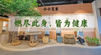 【艾草知識】小小艾草，渾身是寶，一生燃盡此身，皆為健康！